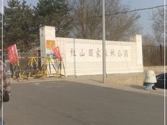-红山国家森林公园