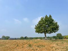 -钟山体育运动公园