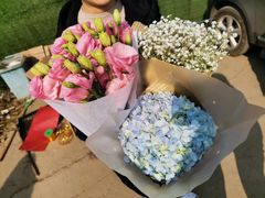 -三圣花乡旅游区