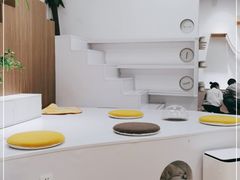 -COLOR PETS 撸猫馆·购猫·猫咖(长风大悦城店)