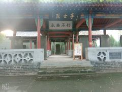 -大槐树寻根祭祖园