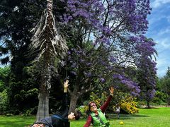 -墨尔本皇家植物园