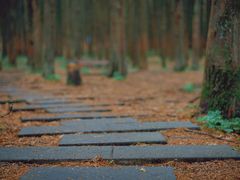 -山王坪喀斯特国家生态公园