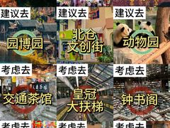 -长江索道景区