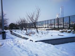 -镇江市南山风景名胜区竹林景区