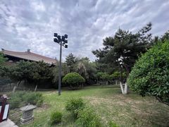 -善化寺