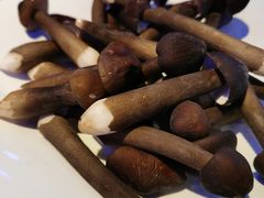 黑鸡枞菌-千岛蚝高压锅生蚝·人参火锅(白云万达店)