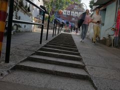 -猫咪博物馆(顶澳仔猫街店)