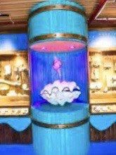 -左海海底世界