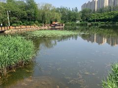 -前关湿地公园