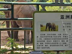 -秦皇岛野生动物园
