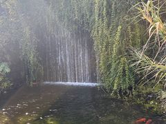 -千岛湖东南湖区