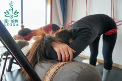 -莲一瑜伽·普拉提产后塑型GZS