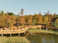 -莲花山公园