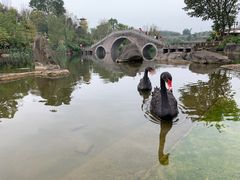 -两江国际影视城