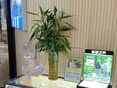 -自然之声助听器·呼吸机(和平店)