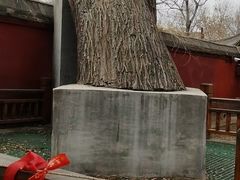 -天宁寺