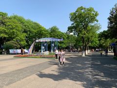 -圩墩遗址公园