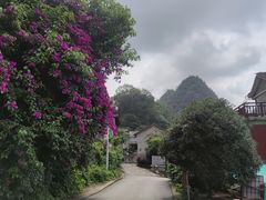 -高荡千年布依古寨旅游景区