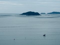 -北岐滩涂