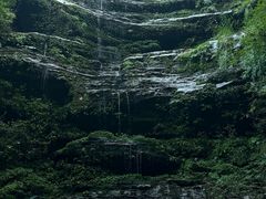 -碧峰峡风景区
