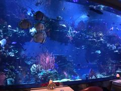 -迪拜帆船酒店海底餐厅