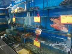 水产区-蚝专家(北滘店)