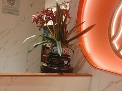 -松鹤楼·苏式汤面(虹桥天地店)