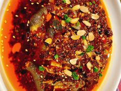 凉拌鸡-铁公鸡·四川料理(天环广场店)