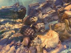 -一手店(五道口店)