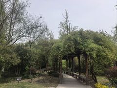 -水绘园