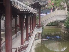 -龙潭水乡