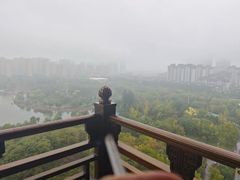-鲁南仔·滕州炒鸡(经三路店)
