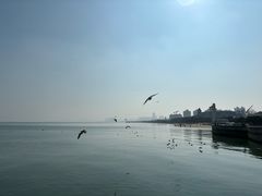 -ChanDu躔度咖啡(灯塔店)