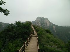 -大岭沟猕猴桃谷风景区