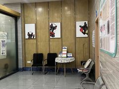 -瑞派名望志远动物医院·猫科·內科·异宠专科(直港大道店)