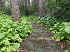 -长春市南湖公园