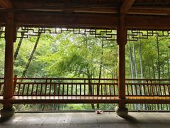 -藏龙百瀑风景区