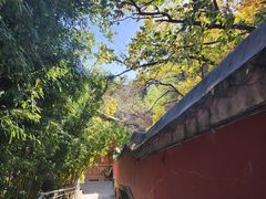 -潭柘寺景区