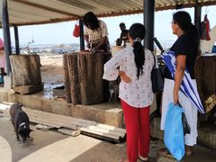 -尼甘布海鲜市场