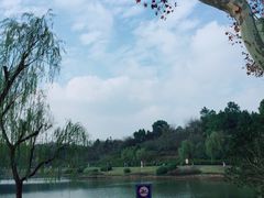 -宜兴龙背山森林公园