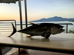 -海盗餐厅