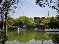 -青龙山国家森林公园