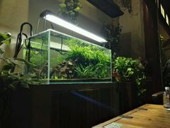 -百好乐宠物友好餐厅(朝外大街店)