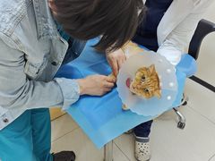 -美联众合动物医院·24h京西诊疗中心