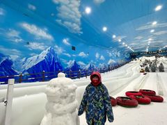 -世界之窗阿尔卑斯冰雪世界