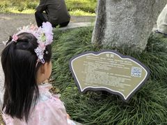 -武汉大学-樱园