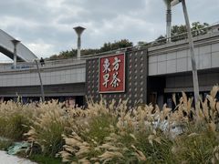 -东方早茶 海鲜•青岛菜(国信体育中心店)