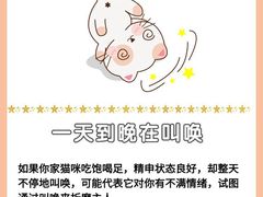 -爱侣宠医·鹦鹉专科·小型哺乳类·异宠专科(灵石路店)