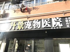 -丹景宠物医院·全科·老年病·牙科(武昌诊疗中心)